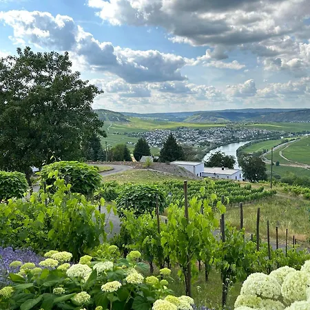 Auszeit Im Alten Weinberg Apartment Leiwen