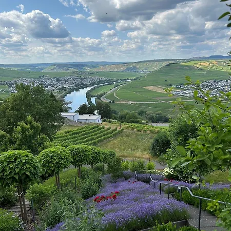 Auszeit Im Alten Weinberg Apartment *