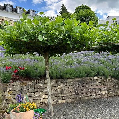 Auszeit Im Alten Weinberg Apartment Leiwen